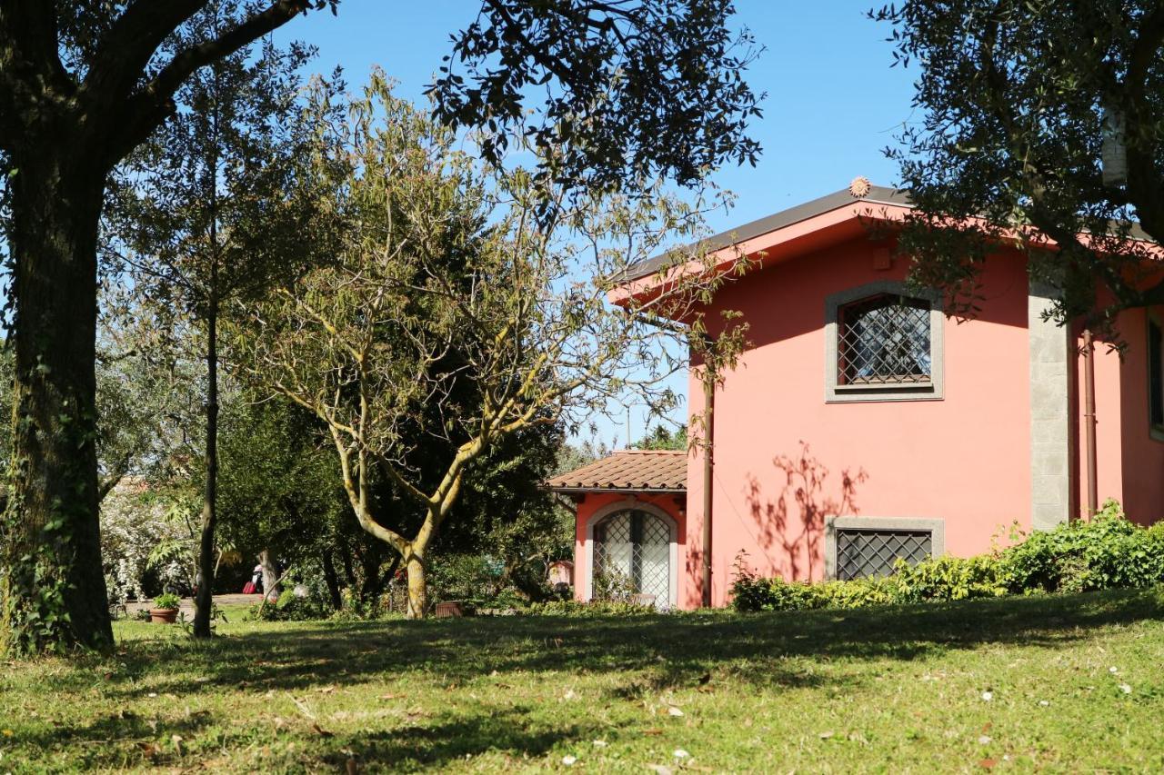مارينو B&B Ai Glicini - Castelli Romani المظهر الخارجي الصورة