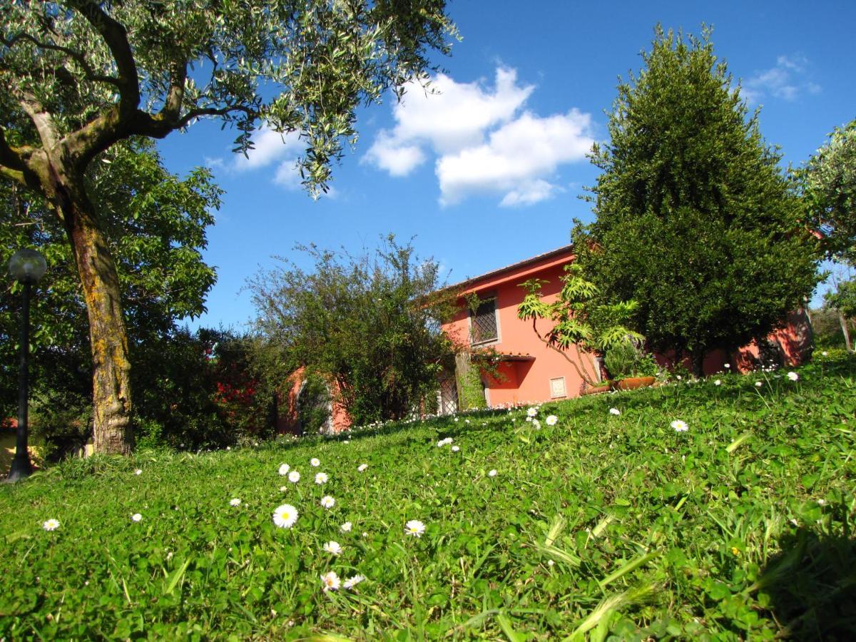 مارينو B&B Ai Glicini - Castelli Romani المظهر الخارجي الصورة