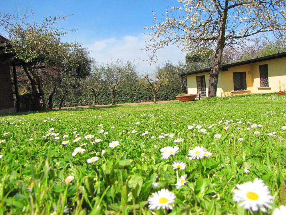 مارينو B&B Ai Glicini - Castelli Romani المظهر الخارجي الصورة
