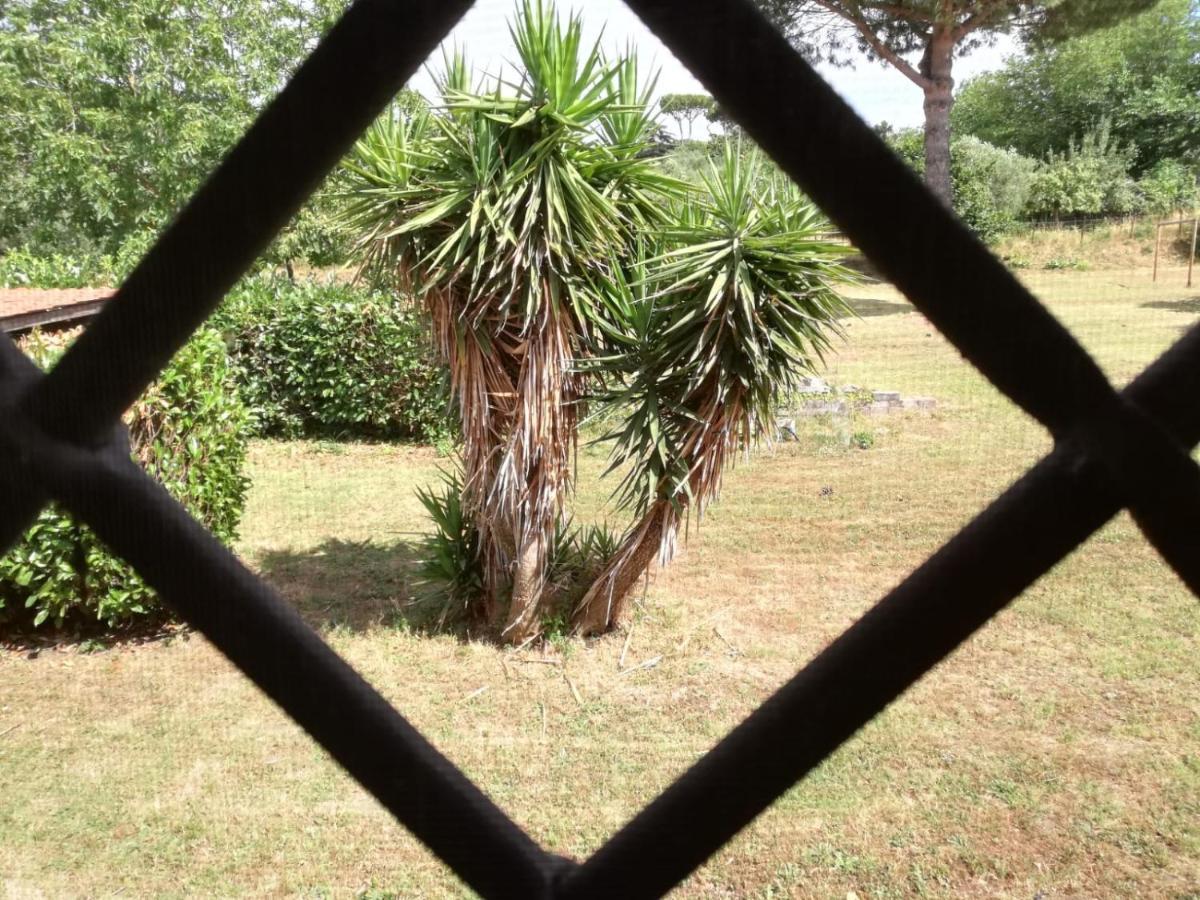 مارينو B&B Ai Glicini - Castelli Romani المظهر الخارجي الصورة