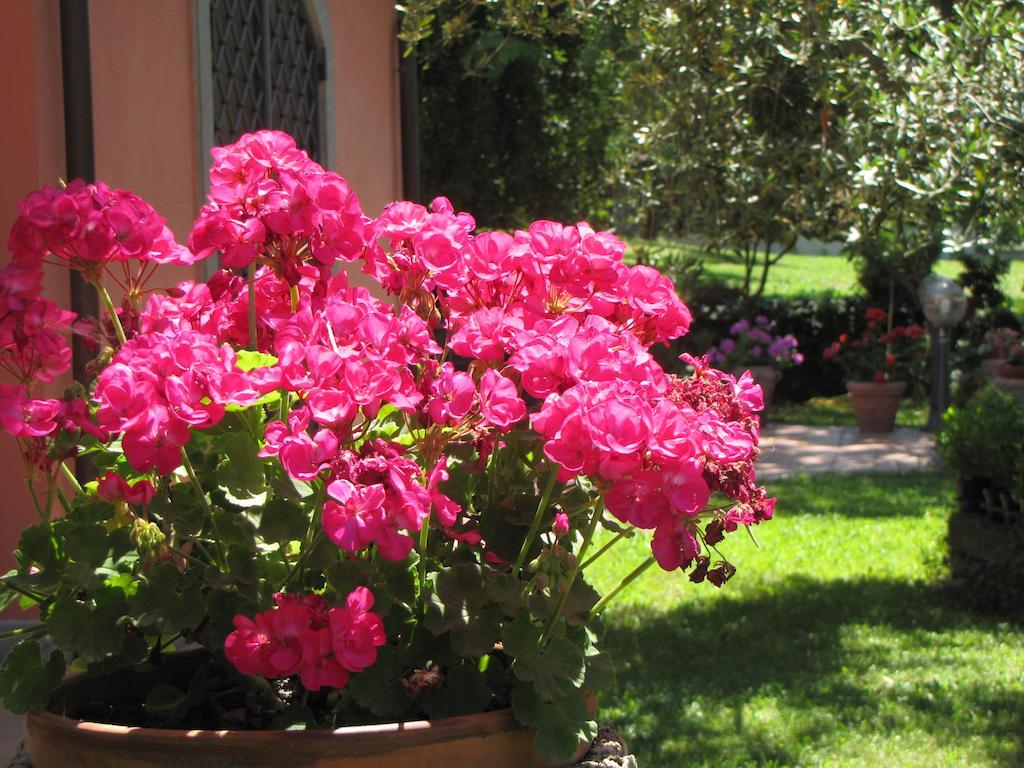 مارينو B&B Ai Glicini - Castelli Romani المظهر الخارجي الصورة