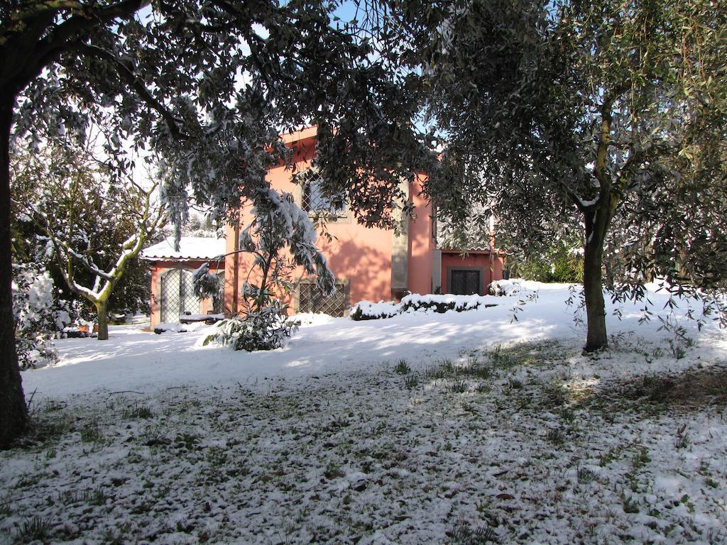 مارينو B&B Ai Glicini - Castelli Romani المظهر الخارجي الصورة